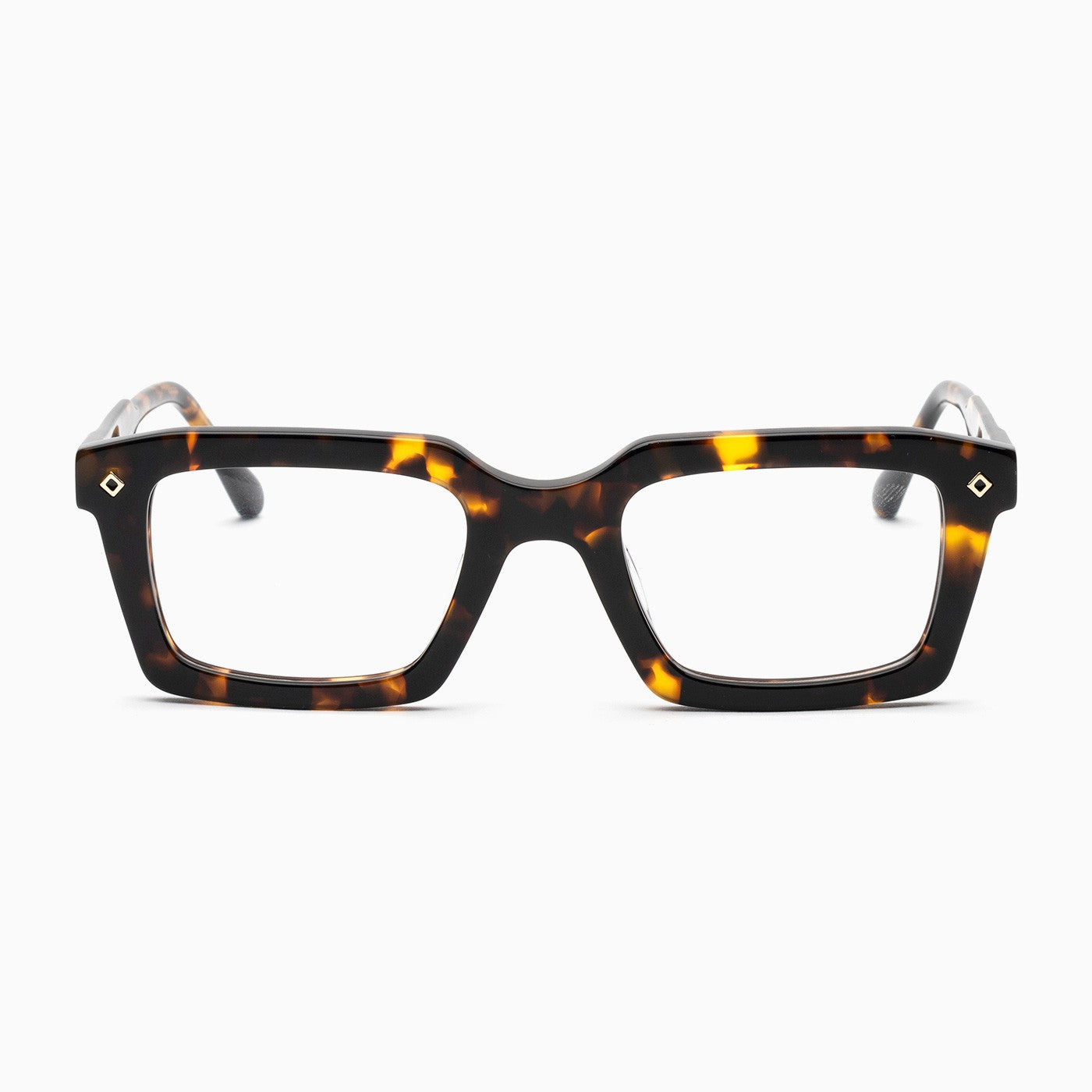 BSTT - Trout Tartaruga