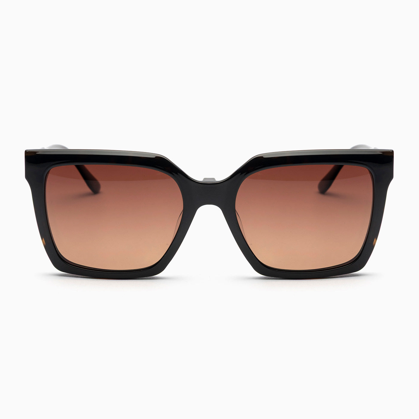 BSTT - Dormouse Tartaruga