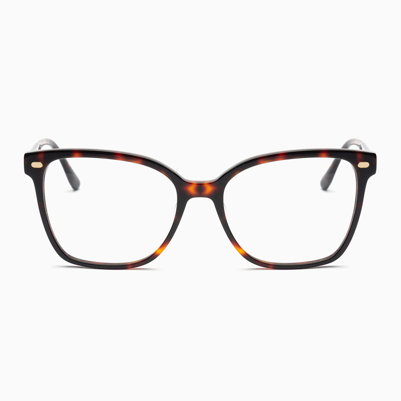 BSTT - Horse Tartaruga