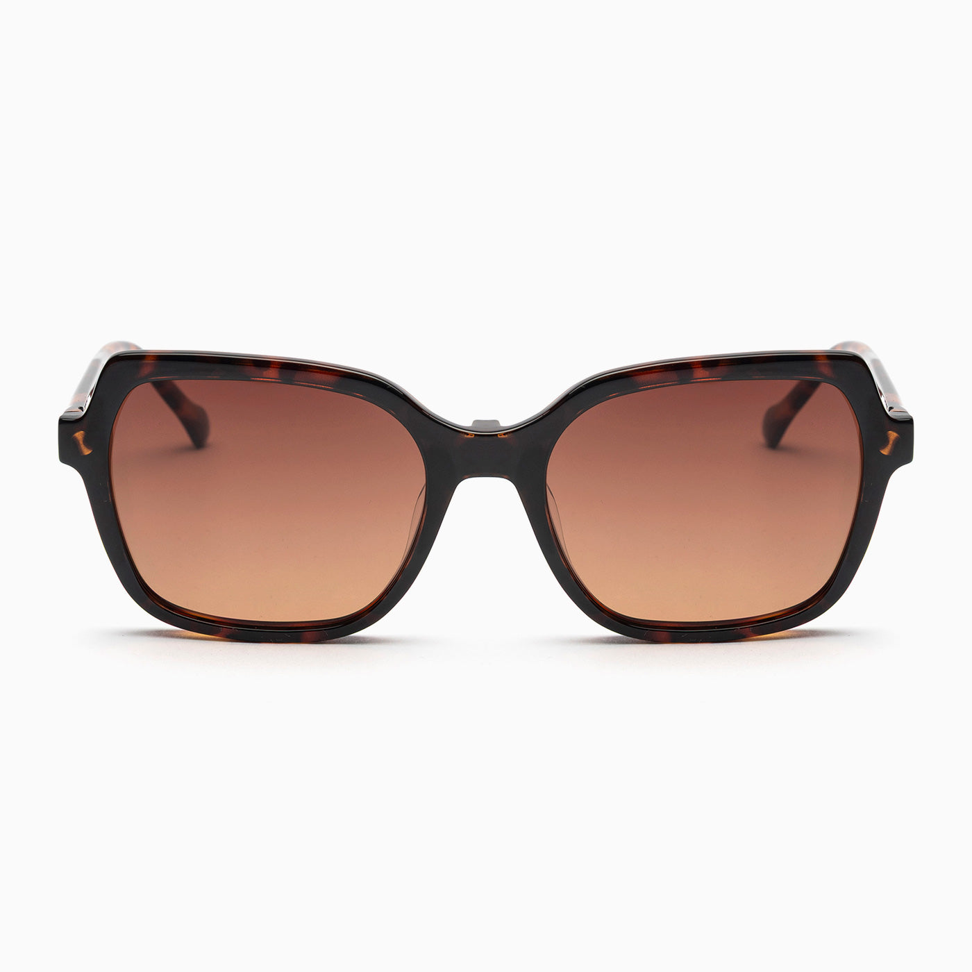 BSTT - Marten Tartaruga