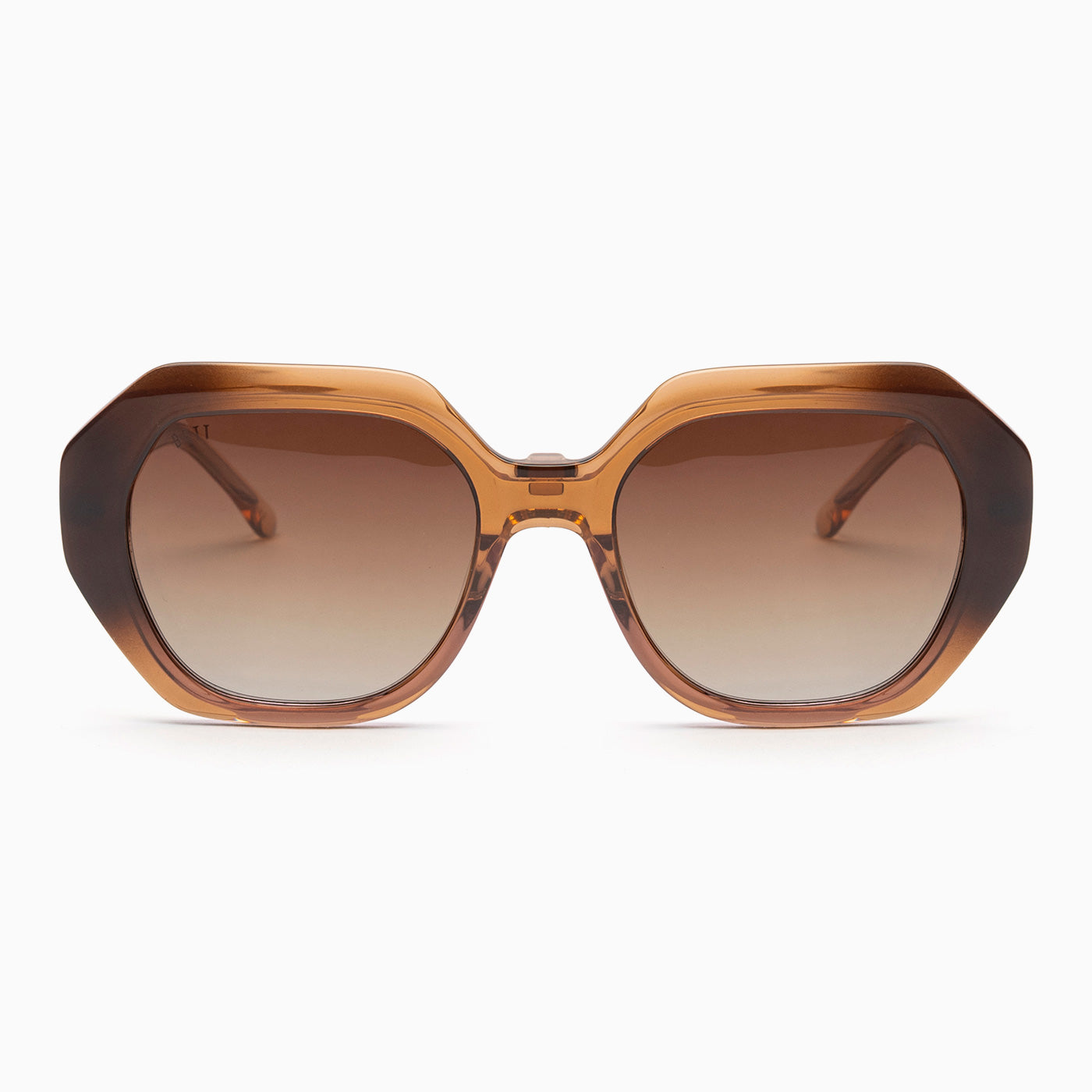 BSTT - Porpoise Marrone