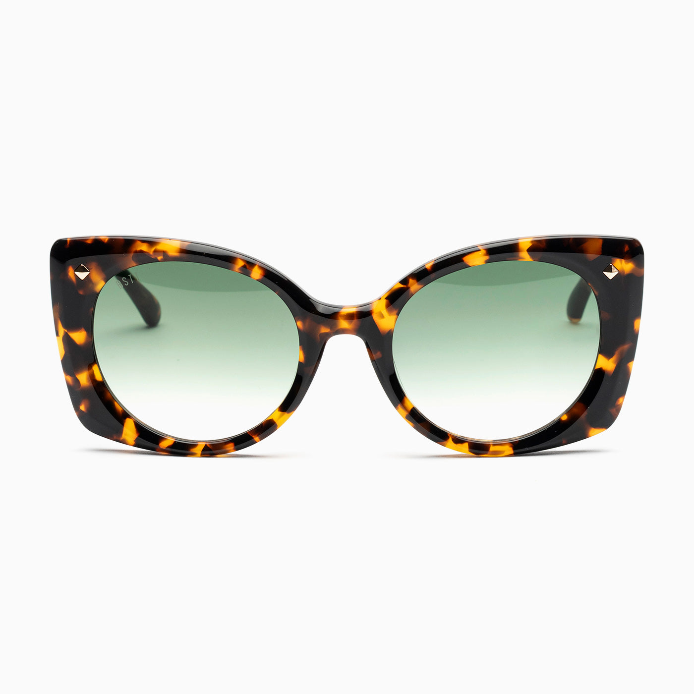 BSTT - Snail Tartaruga