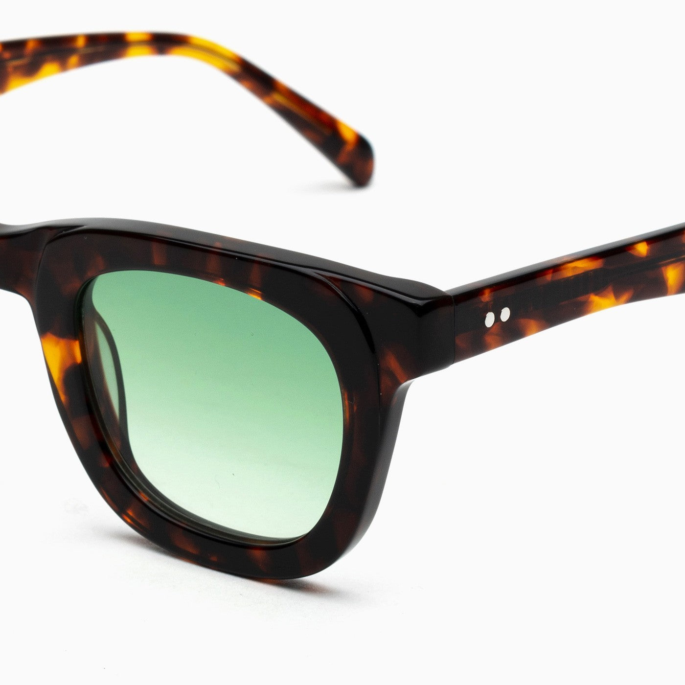 BSTT - Puma Tartaruga