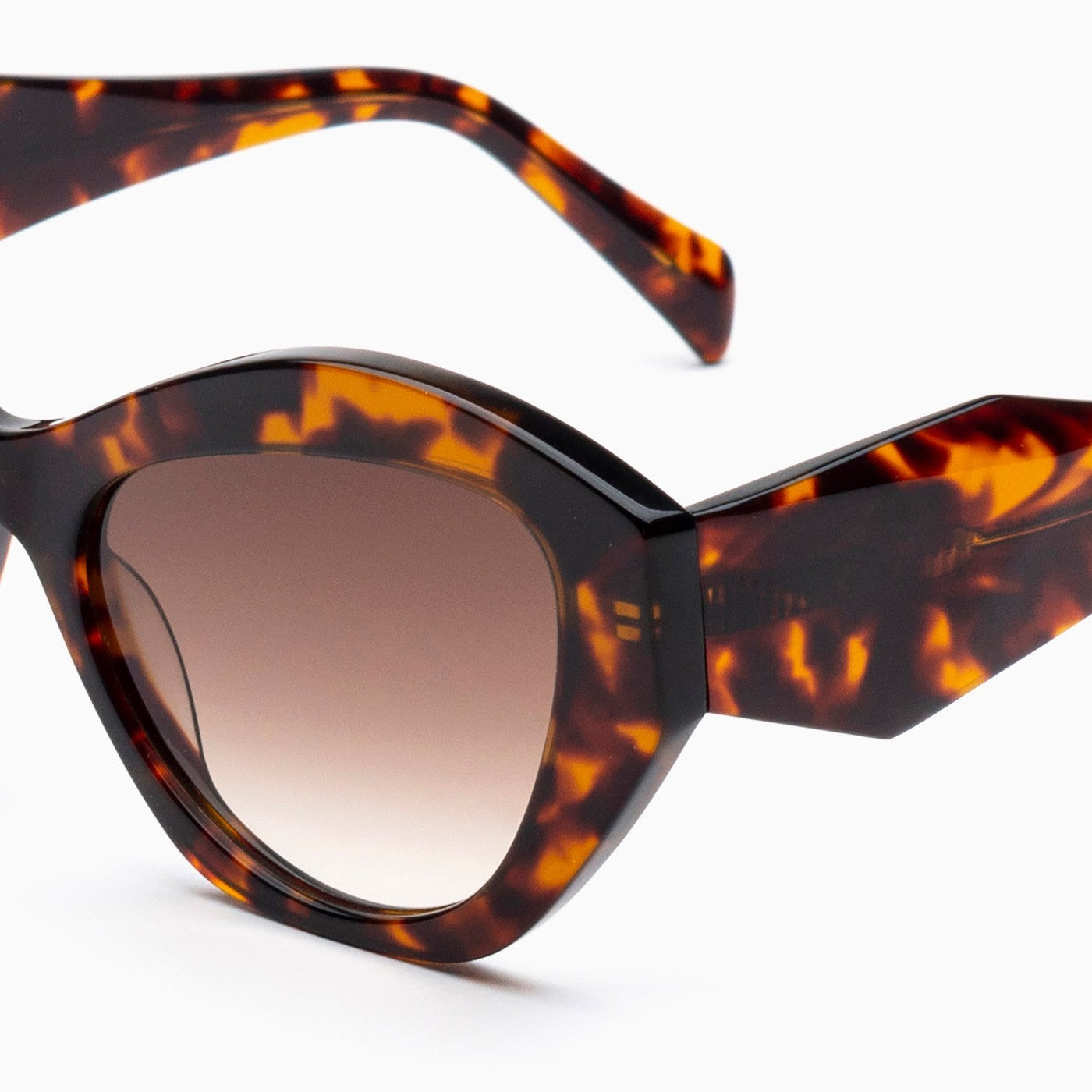 BSTT - Cricket Tartaruga