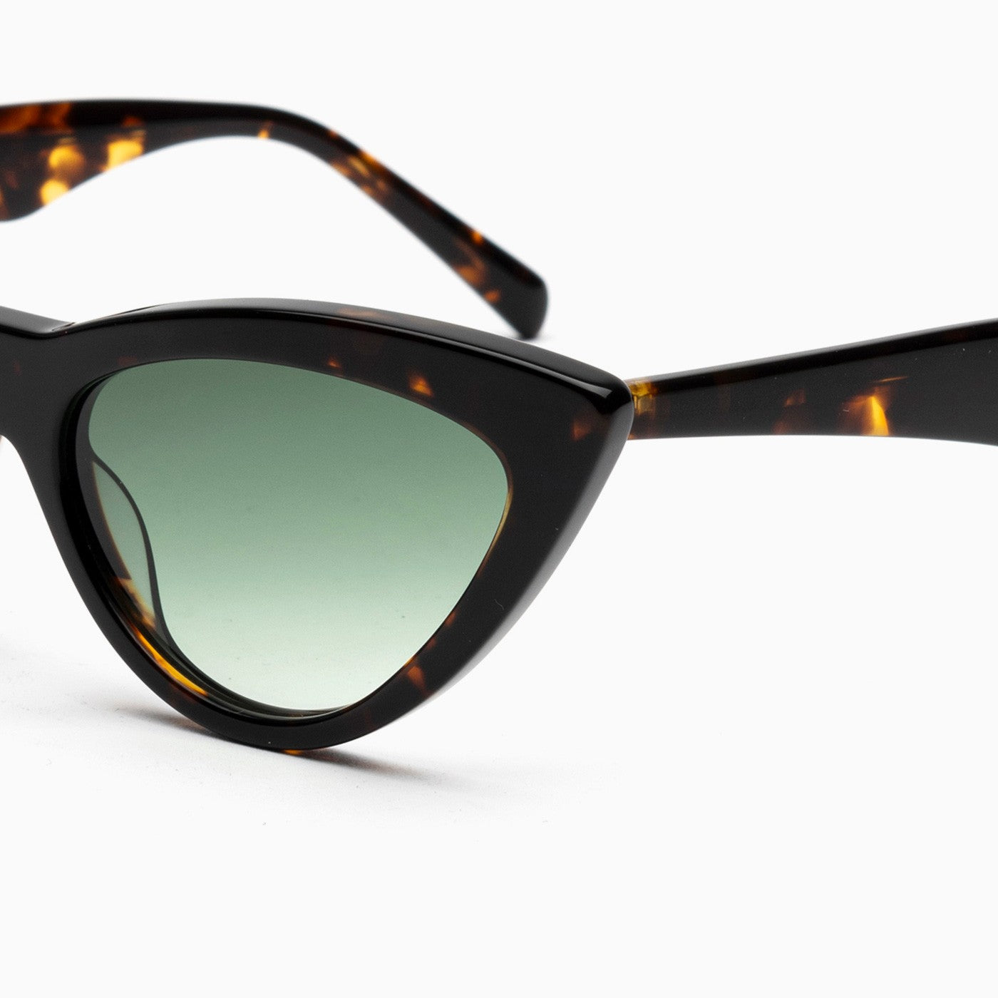 BSTT - Flounder Tartaruga