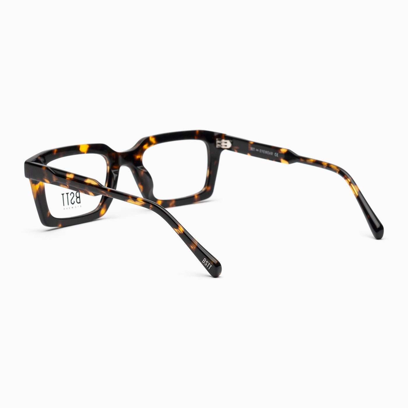 BSTT - Trout Tartaruga