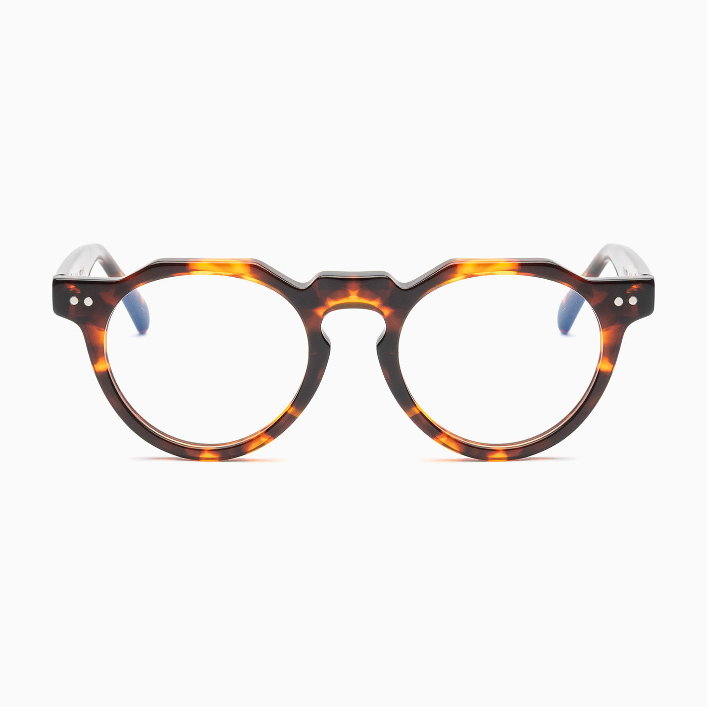 BSTT Young - Damiano Tartaruga