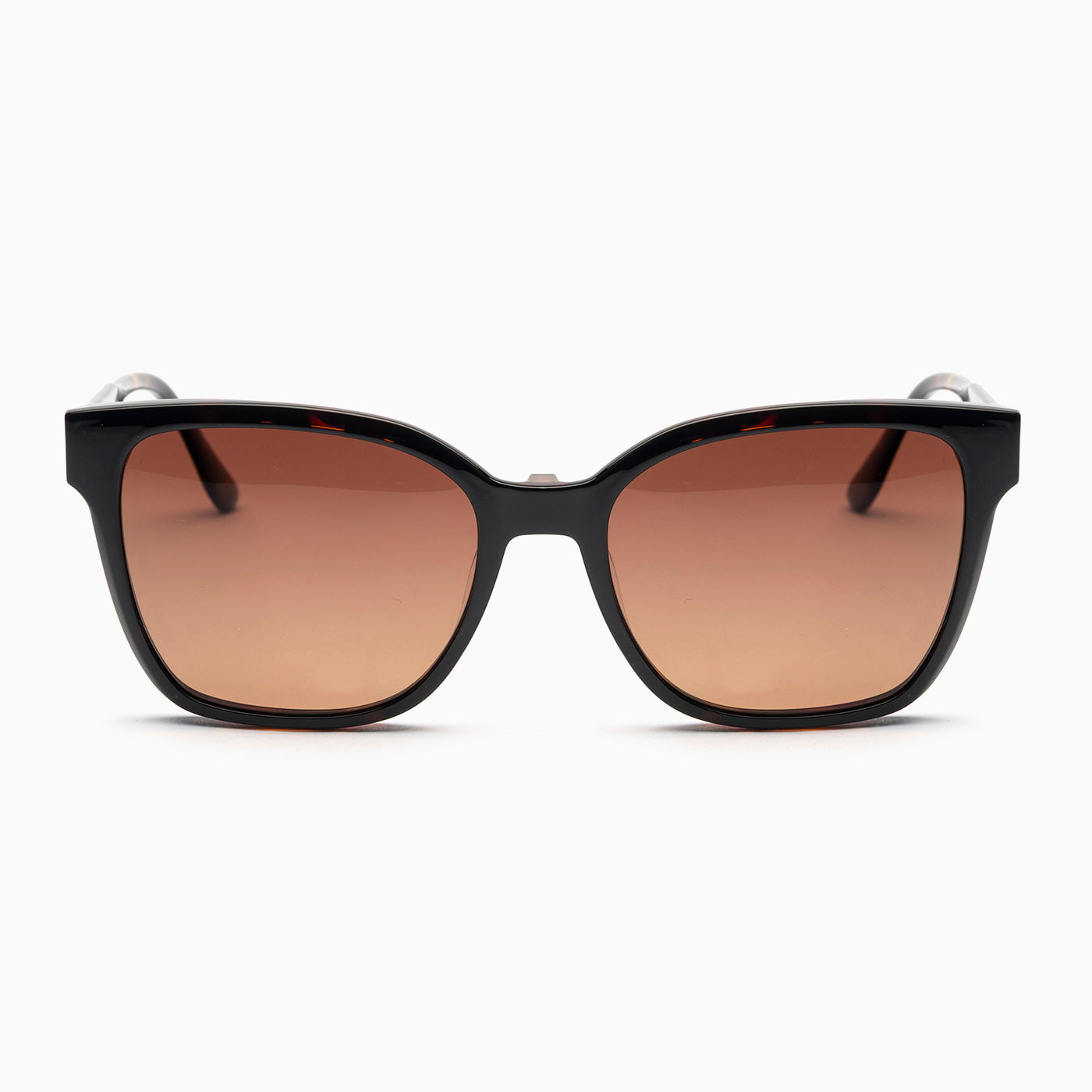 BSTT - Horse Tartaruga