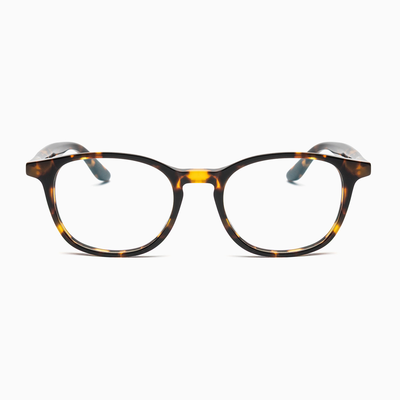 BSTT - Sardine Tartaruga