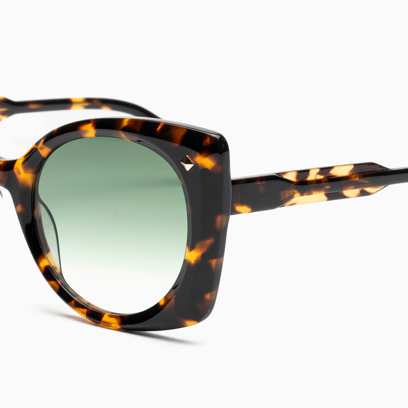 BSTT - Snail Tartaruga